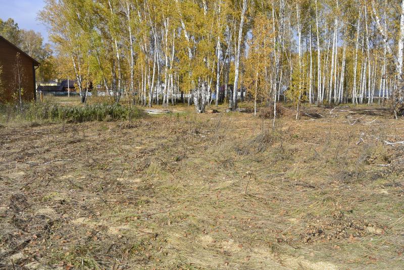 Продам земельный участок в Марусино по адресу Центральная Недвижимость Новосибирская  область (Россия)  Дороги чистят
