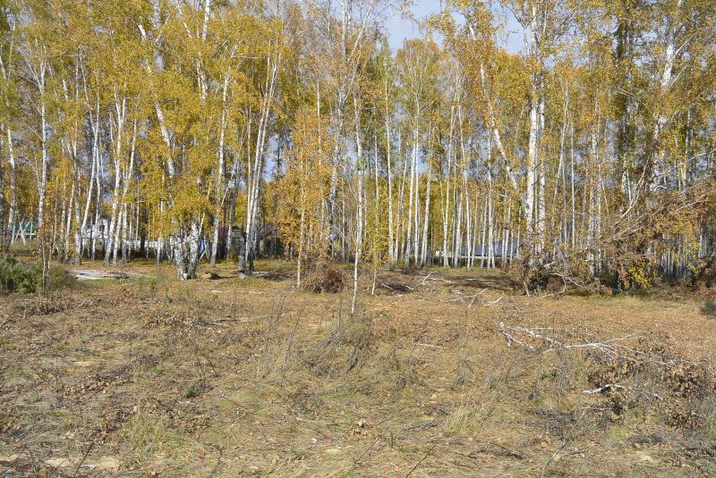 Продам земельный участок в Марусино по адресу Центральная Недвижимость Новосибирская  область (Россия)  Ходит маршрутка по расписанию